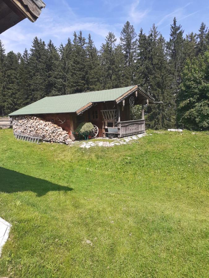 Reitbergs Nest Apartment Eugendorf Luaran gambar