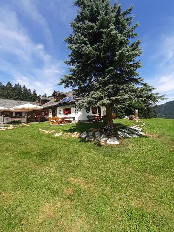 Reitbergs Nest Apartment Eugendorf Luaran gambar